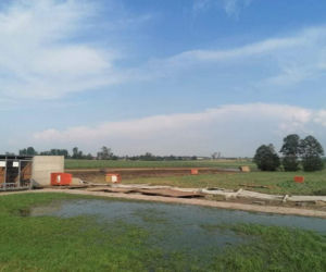 Trąba powietrzna przeszła przez schronisko dla psów. Psiakom na szczęście nic się nie stało, straty materialne są niestety duże