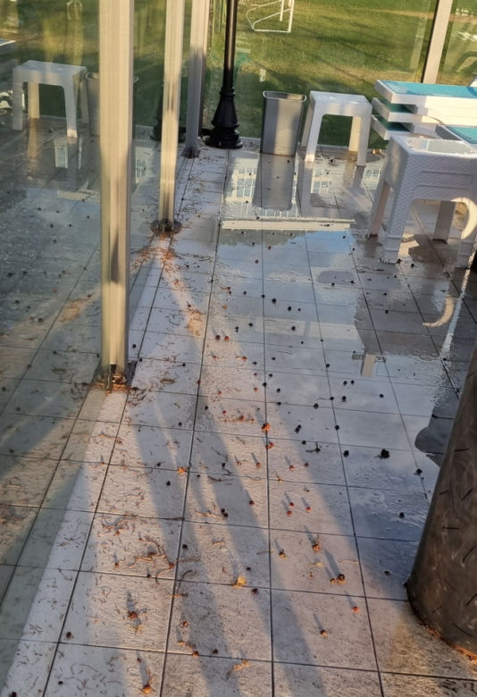 Koszmarne warunki w hotelu w Macedonii. Klienci pokazują zdjęcia