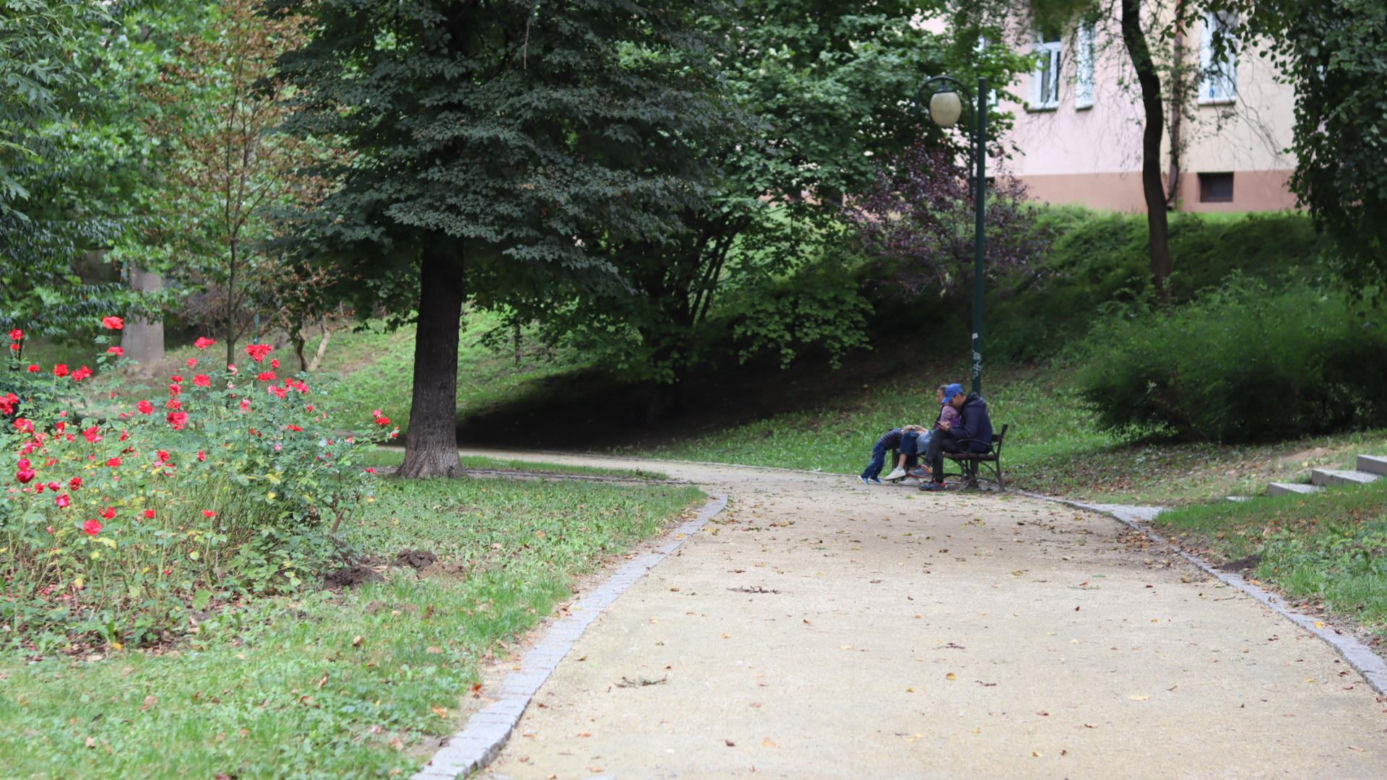 Pierwsze dni jesieni w Lublinie. Czy już widać pierwsze oznaki nowej pory roku? Koniecznie zobaczcie!
