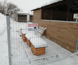 Cztery nowe oazy dla kotów w Suwałkach [ZDJĘCIA]