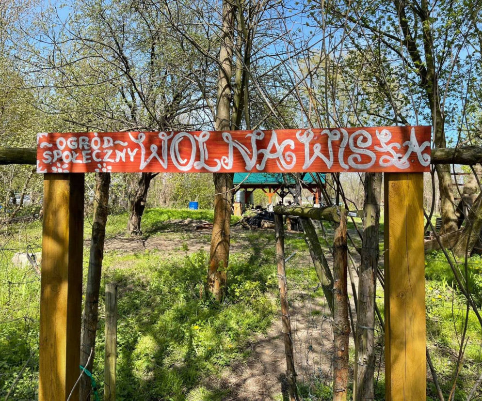Ogród Społeczny Wolna Wisła w Toruniu
