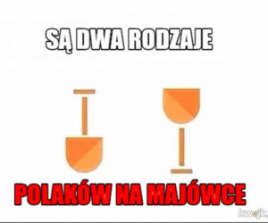 Majwówka 2020 memy