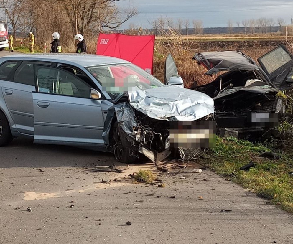 Makabryczna śmierć 17-latka. Horror na drodze w Machnowie Starym