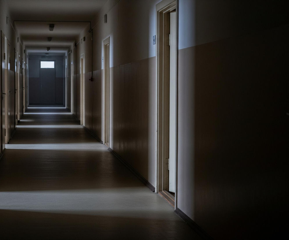 Długi korytarz rozciąga się w głąb obrazu, stopniowo zanikając w oddali w punkcie, gdzie widoczne jest jasne, prostokątne okno lub szyba w drzwiach. Po obu stronach korytarza równomiernie rozmieszczone są drzwi, z których niektóre są lekko uchylone, tworząc pionowe pasy światła wzdłuż ich krawędzi. Podłoga korytarza jest pokryta jasnoszarym linoleum, na którym wyraźnie widać grę świateł i cieni rzucanych przez uchylone drzwi oraz odległe źródło światła. Ściany są podzielone poziomo na dwie części: dolna jest ciemniejsza, zaś górna, jaśniejsza, wydaje się być częściowo oświetlona, co kontrastuje z ogólnym, mrocznym nastrojem wnętrza.