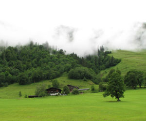 Zdjęcie 5695