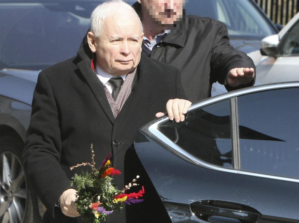 Jarosław Kaczyński szykuj się do świąt. Prezes PiS z kolorową palmą