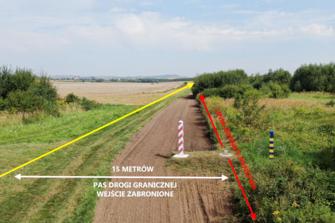 Za to zdjęcie zapłacisz 500 zł. Chętni wciąż się pojawiają 