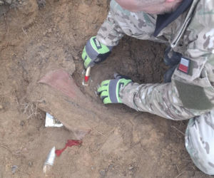 Sensacyjne odkrycie w starachowickim lesie! Pod ziemią przeleżało ponad 80 lat