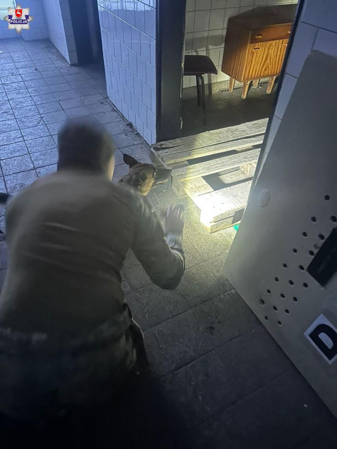 Tajga z lubelskich kontrterrorystów wróciła z międzynarodowego szkolenia