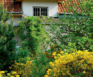 Aranżacja ogrodu: drzewa i krzewy tworzące nastrój w ogrodzie