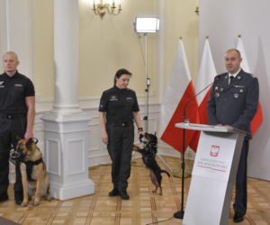 Służby więzienne z psami