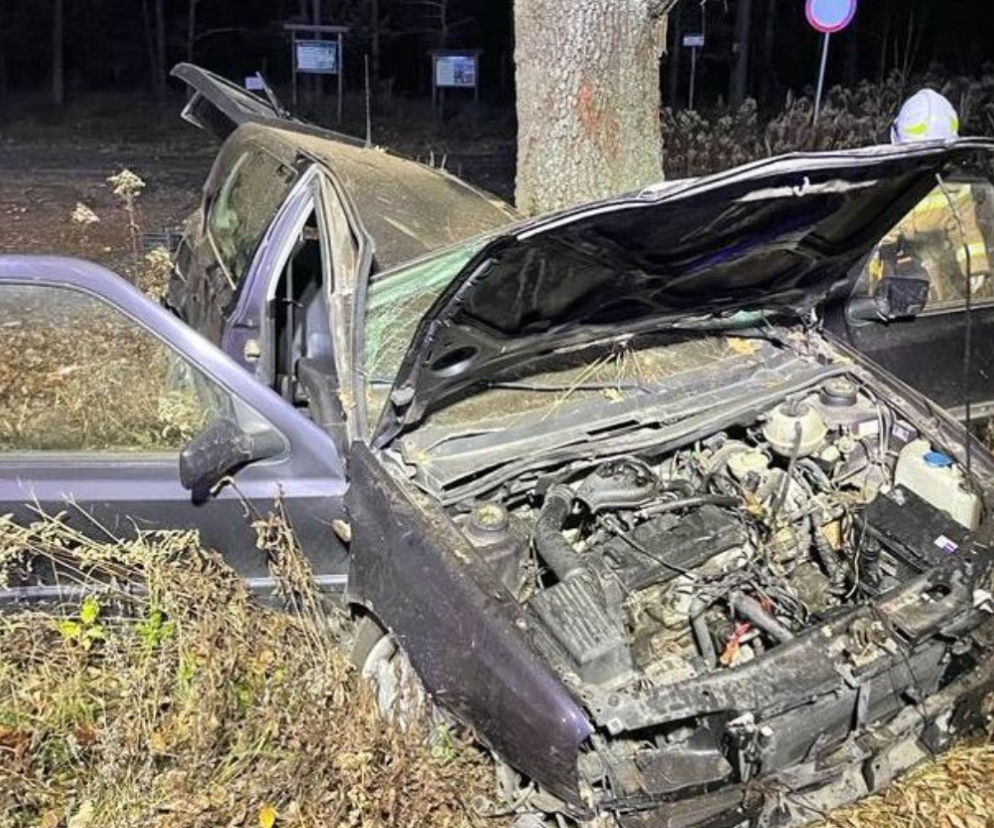 Wypadek na trasie Kolonia Biskupska - Biskupskie Drogi