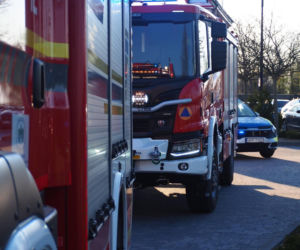 Koń przygniótł nastolatkę