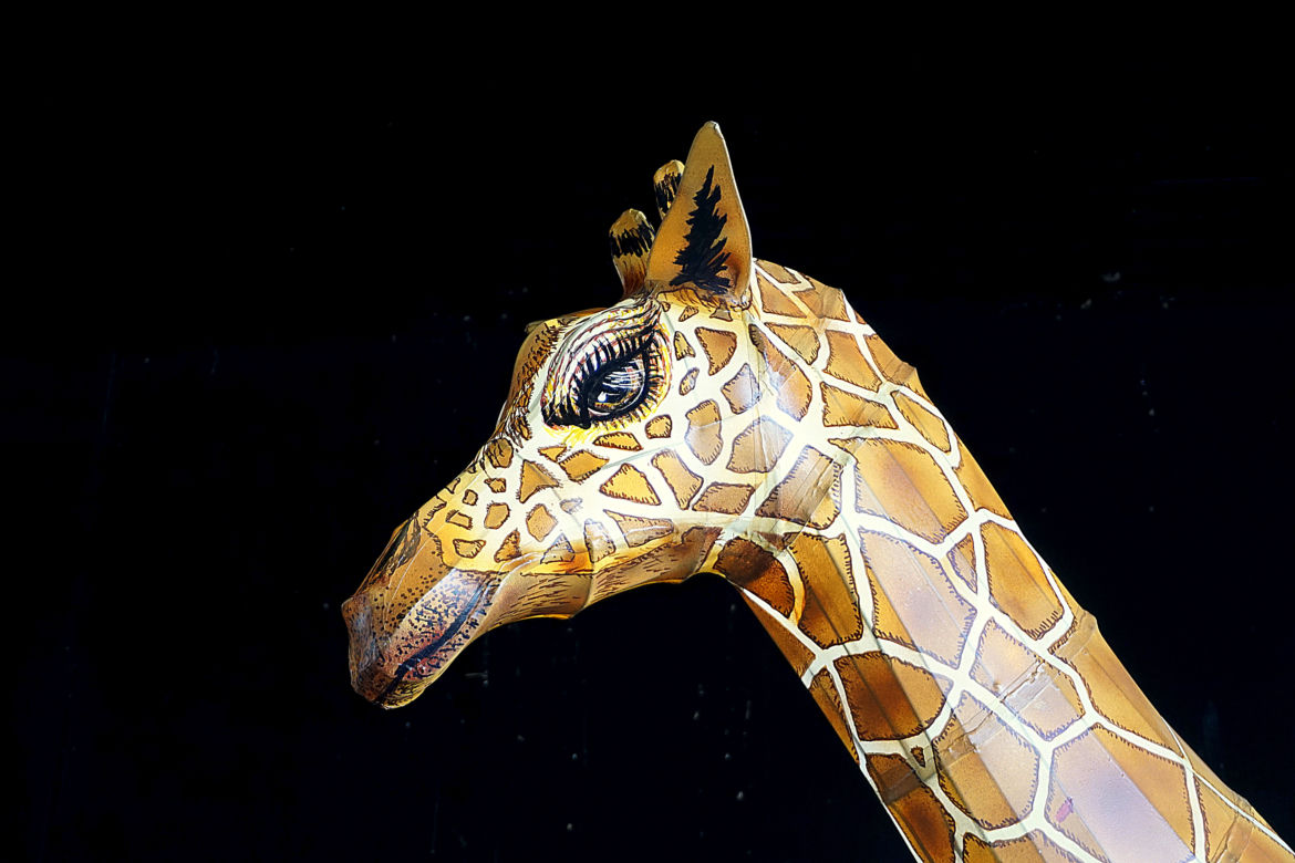Podświetlone zwierzęta we wrocławskim zoo