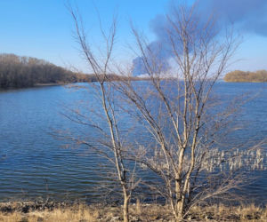 Pożar hali w Broniewicach koło Inowrocławia