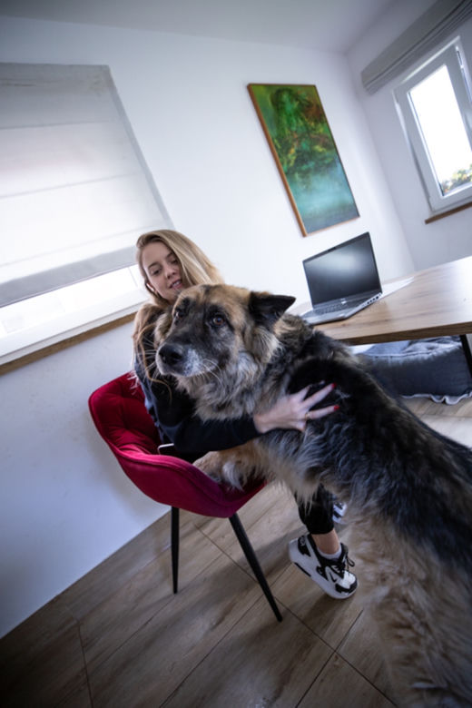 Przemyśl. U nich psy nie czekają na adopcję w klatkach [GALERIA]	