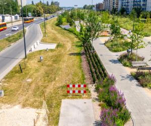 Park nad Południową Obwodnicą Warszawy w Warszawie