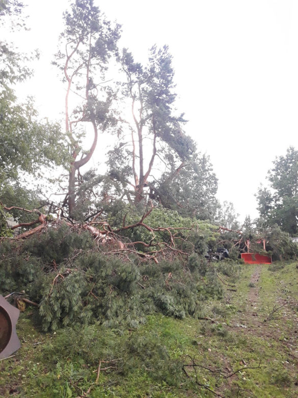 Rolnicy. Podlasie. Maciej z Kundzicz liczy straty. Wichura spustoszyła mu farmę