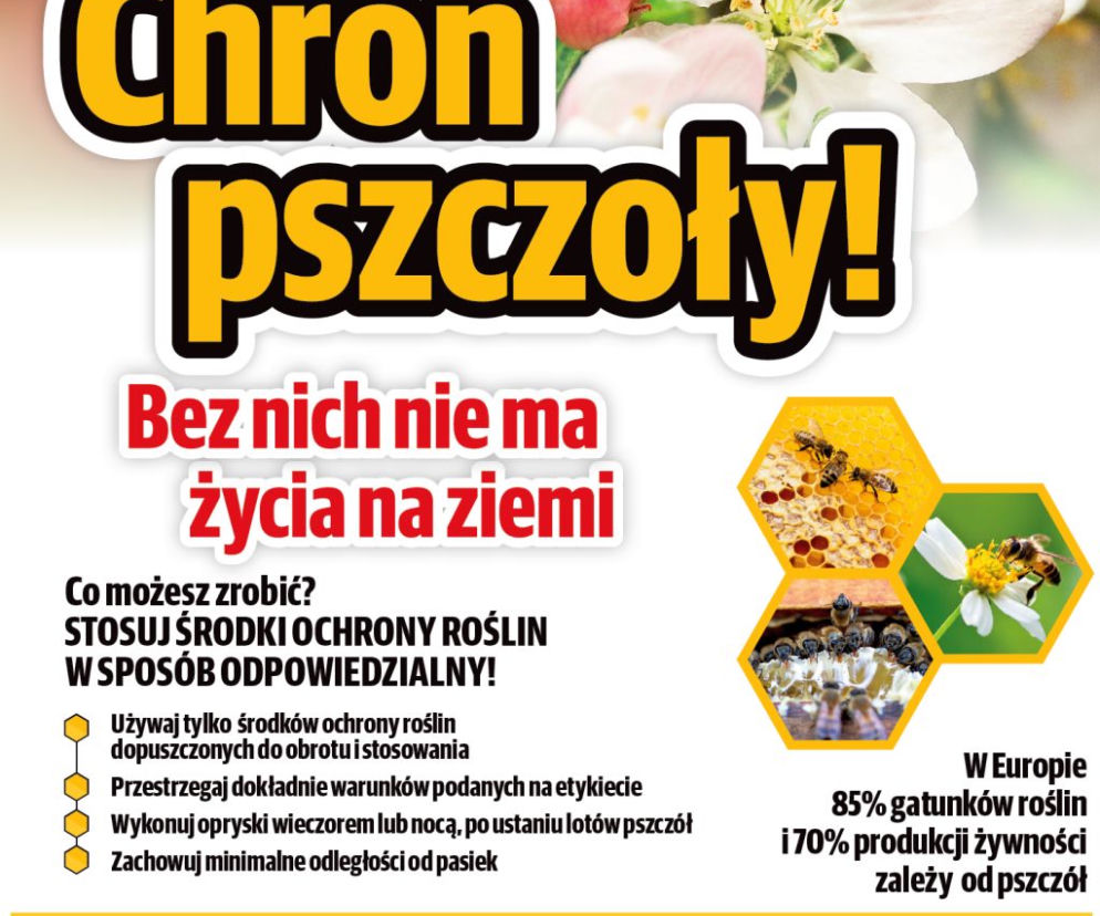 Chrońmy pszczoły