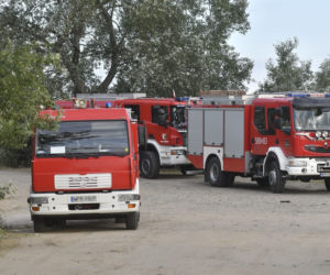 Poszukiwania Dawida Żukowskiego