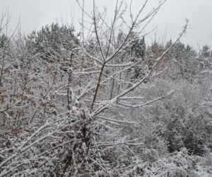 Zima Starachowice 29.11.2020