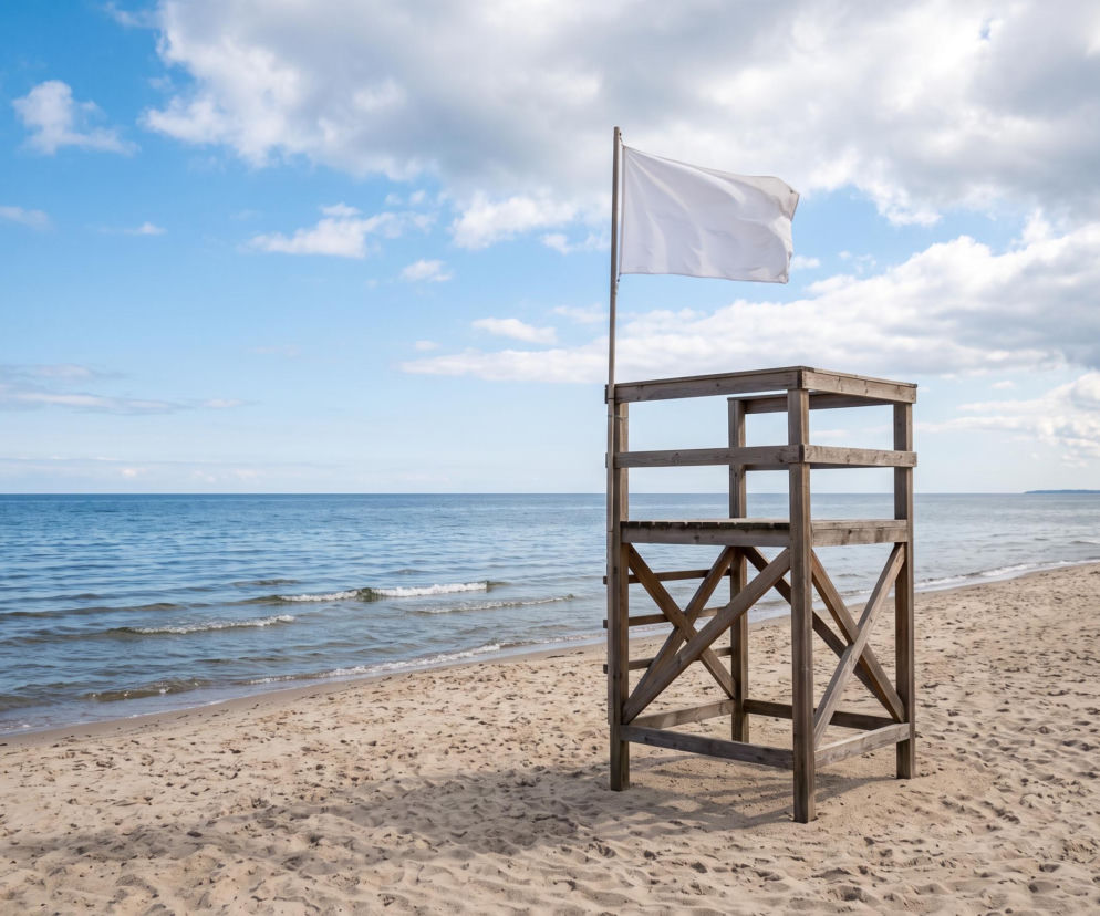 Sinice Gdynia. Czy w Gdyni można się kąpać 15.08? Flaga, warunki pogodowe