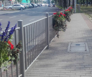 Kwietniki na przystanku tramwajowym na pl. Żołnierza