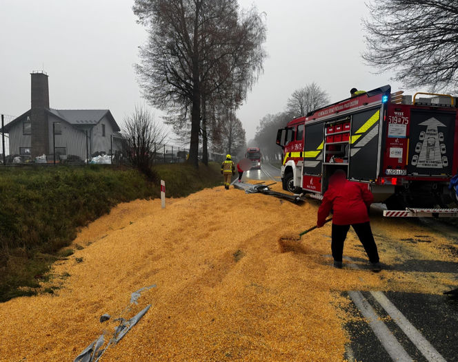 Deszcz kukurydzy pod Oświęcimiem. Droga została zasypana ziarnem