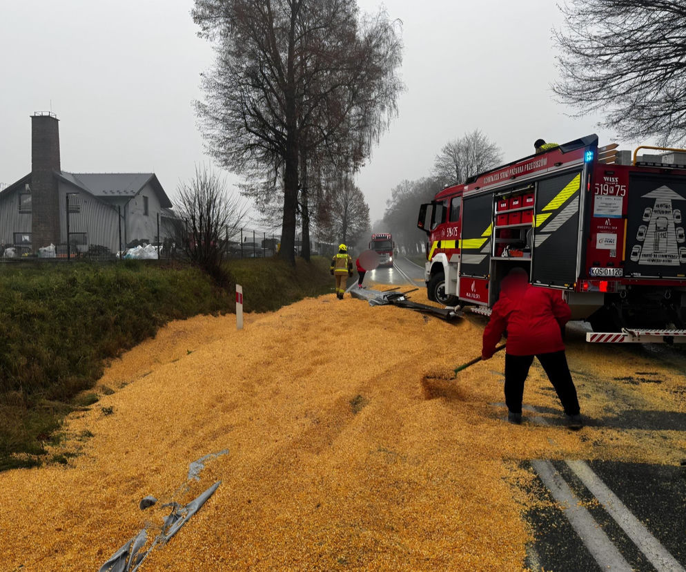 Deszcz kukurydzy pod Oświęcimiem. Droga została zasypana ziarnem