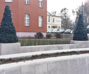 Ozdoby świąteczne miejskiej architektury w Iławie 2020 - zdjęcia dzienne