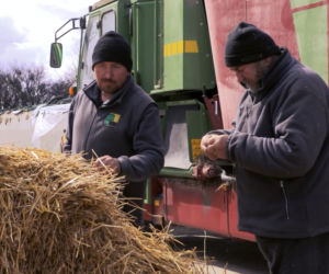 Rolnicy. Podlasie. Gospodarstwo Tomka z Pokaniewa