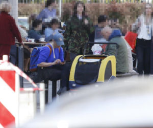 Tak Damięcka dba o psa