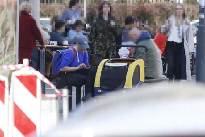 Tak Damięcka dba o psa