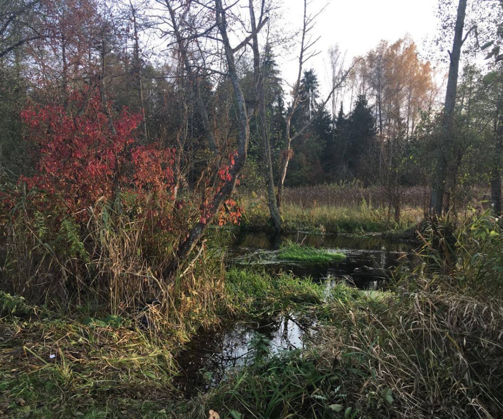 Supraśl