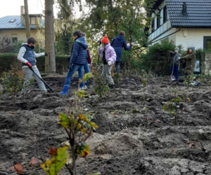 Najmłodsi szczecinianie posadzili tysiąc drzew!