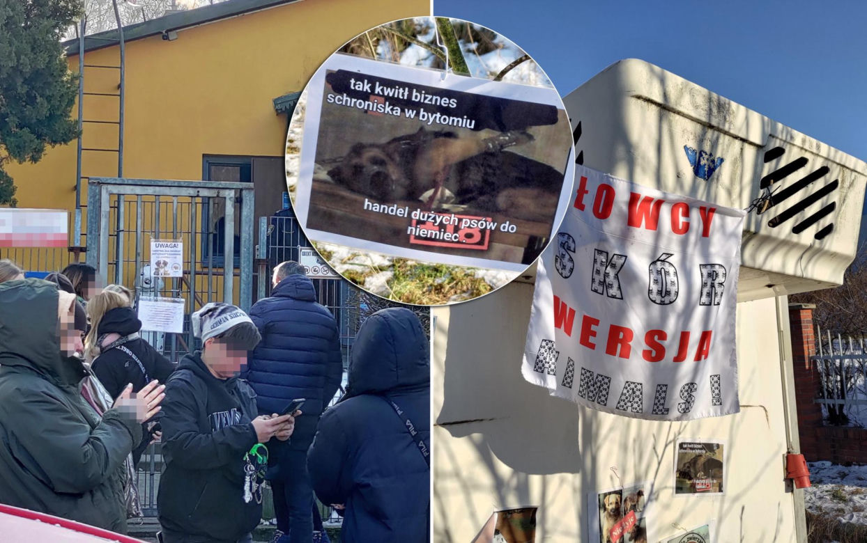 Zamieszanie w schronisku dla zwierząt w Bytomiu