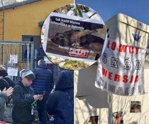 Afera w schronisku. Doda nie wytrzymała! Padły ostre słowa