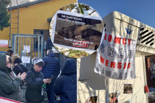 Afera w schronisku. Doda nie wytrzymała! Padły ostre słowa