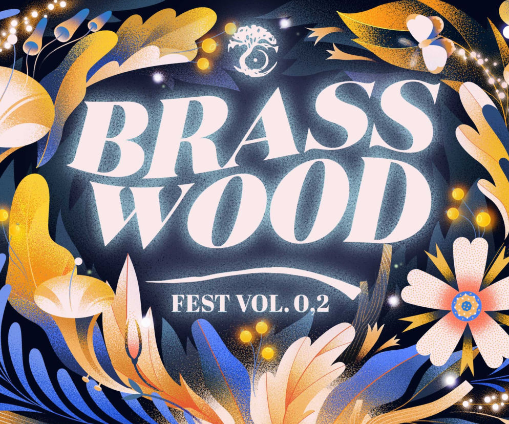 Sopocki Brasswood Fest vol. 0,2 