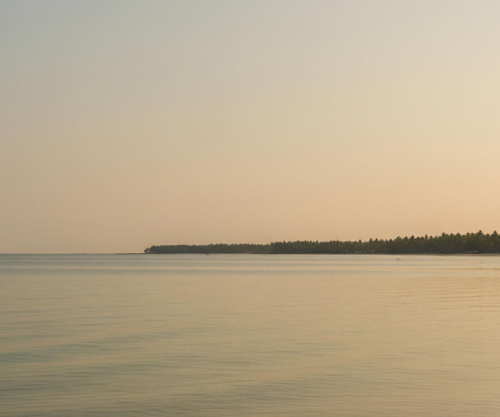 Spokojne, rozległe morze zajmuje dolną połowę obrazu, z delikatnymi falami widocznymi na jego powierzchni. Poziom wody rozciąga się w prawo, gdzie na horyzoncie widoczna jest linia gęstych, wysokich drzew, prawdopodobnie palm, tworzących ciemny pas lądu. Niebo nad morzem i lądem ma jednolity, blady pomarańczowo-szary odcień, sugerujący poranek lub wieczór.