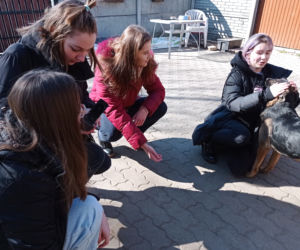 Natalia, Gabrysia, Wiktoria i Julka - nastolatki o wielkich sercach. Razem tworzą wyjątkowy projekt PETSUPPORT 