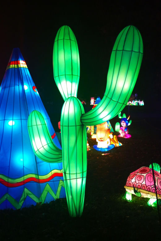 Garden of Lights w Szczecinie