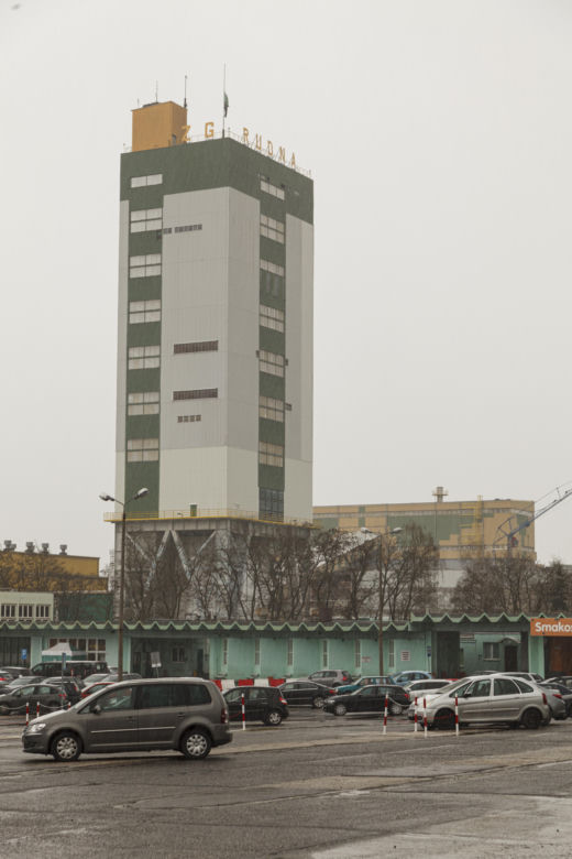 Zakłady Górnicze Rudna