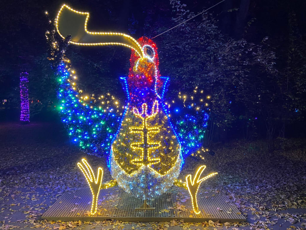 Park Miliona Świateł powraca! Zobacz, jak się prezentuje