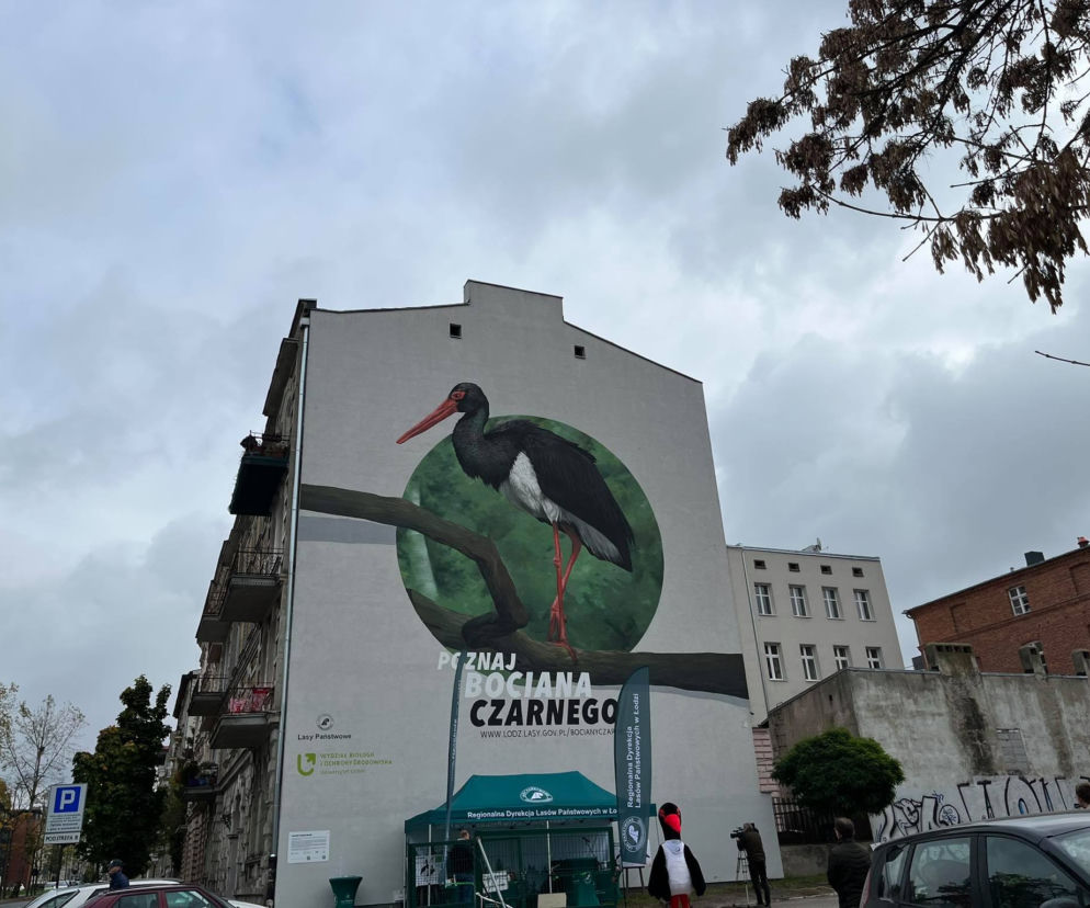 Mural Bocian Czarny