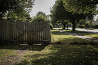 Agresywne psy w Krzepicach. Kto odpowie za atak na dzieci?