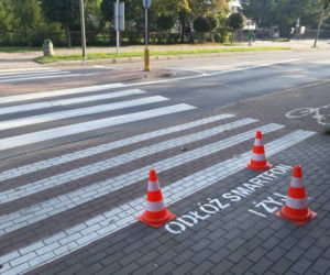 Odłóż smartfon i żyj. Napisy przed przejściami mają zatrzymać pieszych [ZDJĘCIA]