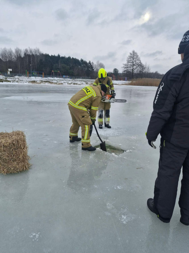 W akcji wykonywania przerębli pomagali druhowie OSP
