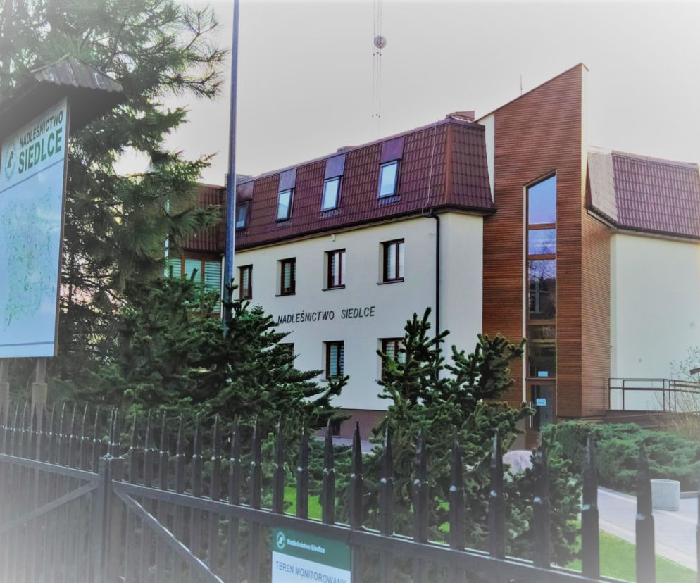 Nadleśnictwo Siedlce