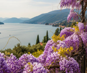 Kwaśniewscy we Włoszech. Czy to koniec rodzinnej tradycji w Polsce?